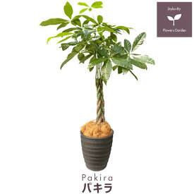 観葉植物 パキラ 樹脂鉢 ブラック 大型 インテリア ギフト 発財樹 縁起良い インテリアにピッタリ