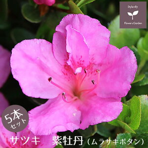 TcLccW c O 5{Zbg 15cm|bg A   