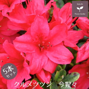 NccW ́X 5{Zbg 15cm|bg A     E