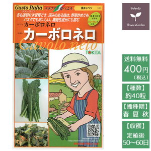 珍しい 種の人気商品 通販 価格比較 価格 Com 珍しい 種の人気商品 通販 価格比較 価格 Com