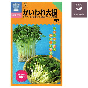 XvEg  卪 b̃^l𑗗ł܂ł͂I