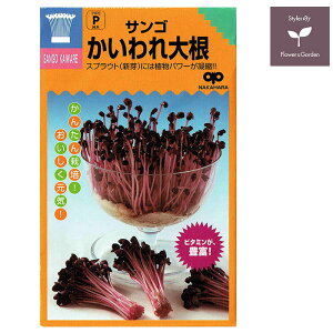 スプラウト 種 サンゴかいわれ大根 話題のタネを送料無料でご自宅までお届け!