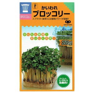 XvEg  ubR[ b̃^l𑗗ł܂ł͂I