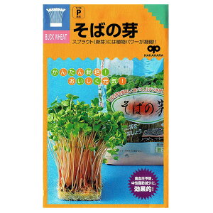 XvEg  ΂̉ b̃^l𑗗ł܂ł͂I