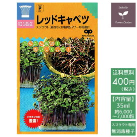 楽天市場 レッドキャベツ スプラウト 種の通販