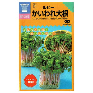 XvEg  r[卪 b̃^l𑗗ł܂ł͂I