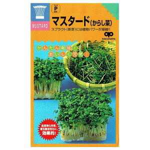 XvEg  }X^[hi炵؁j b̃^l𑗗ł܂ł͂I