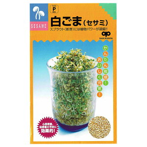 XvEg  ܁iZT~j b̃^l𑗗ł܂ł͂I