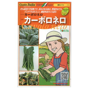野菜のタネ カーボロネロ(キャベツ) イタリアの珍しい種を送料無料でお届け!!