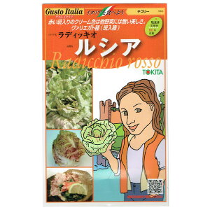 野菜のタネ ルシア(ラディキオ) イタリアの珍しい種を送料無料でお届け!!