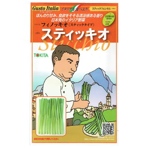 野菜のタネ スティッキオ(スティックフェンネル) イタリアの珍しい種を送料無料でお届け!!