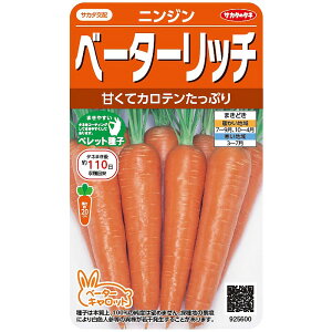 野菜の種 実咲野菜5600 ベーターリッチ サカタのタネ