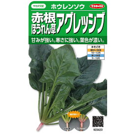 野菜の種　実咲野菜3423 赤根ほうれん草アグレッシブ サカタのタネ