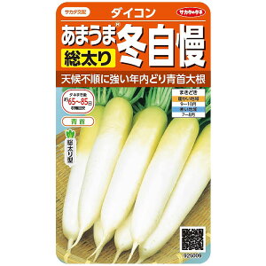 ؂̎@5009 ~ǂ肠܂ܑ卪~ TJ^̃^l