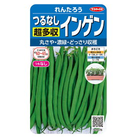 野菜の種　実咲野菜7076 つるなし超多収インゲン れんたろう サカタのタネ