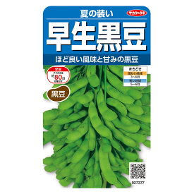 野菜の種　実咲野菜7377 早生枝豆（黒豆） 夏の装い サカタのタネ