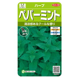 野菜の種　実咲ハーブ8084 ハーブ ペパーミント サカタのタネ