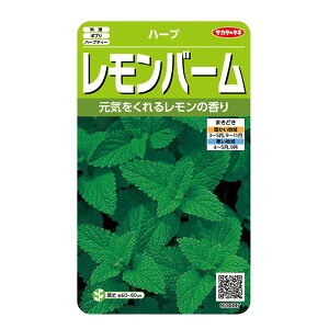 ؂̎@n[u8087 n[u o[ TJ^̃^l