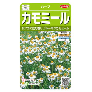 ؂̎@n[u8071 n[u W[}J~[ TJ^̃^l