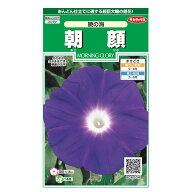 花の種　実咲花6004 朝顔暁の海 サカタのタネ