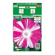 花の種　実咲花6008 朝顔暁の舞 サカタのタネ