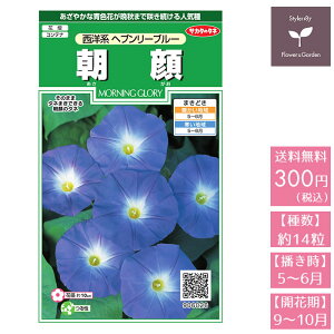青 緑 花 種の人気商品 通販 価格比較 価格 Com 青 緑 花 種の人気商品 通販 価格比較 価格 Com