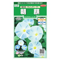 花の種　実咲花6028 朝顔西洋系フライングソーサー サカタのタネ