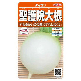 野菜の種　実咲野菜5073 聖護院大根ダイコン サカタのタネ