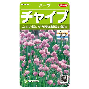 ؂̎@n[u8078 `Cun[u TJ^̃^l