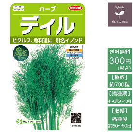 楽天市場 ハーブの種子 種類 植物 ディル 種子 ガーデニング 農業 花 ガーデン Diyの通販