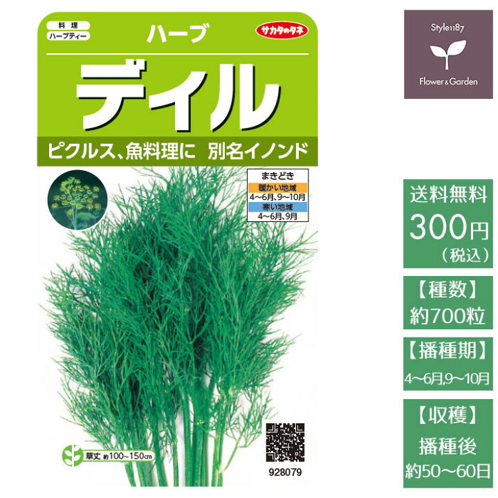 楽天市場 野菜の種 実咲ハーブ8079 ディル イノンド ハーブ サカタのタネ Style1187