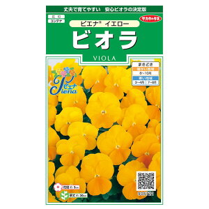 Ԃ̎@6721 rIsGiCG[ TJ^̃^l