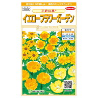 花の種　実咲花5903 花絵の具イエローフラワーガーデン サカタのタネ