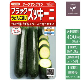 楽天市場 ブラック ズッキーニの通販 楽天市場 ブラック ズッキーニの通販