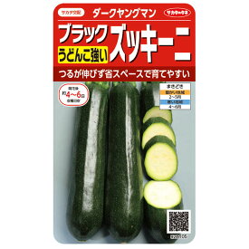 野菜の種　実咲野菜1105 うどんこ強いブラックズッキーニダークヤングマン サカタのタネ