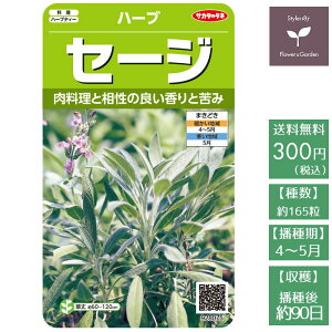 セージ 種の人気商品 通販 価格比較 価格 Com