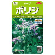 野菜の種　実咲ハーブ8085 ボリジハーブ サカタのタネ