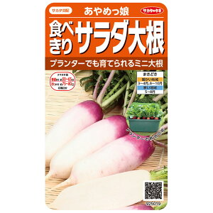 野菜の種 実咲野菜5019 食べきりサラダ大根あやめっ娘 サカタのタネ