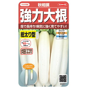 ؂̎@5027 ͑卪Ho@TJ^̃^l