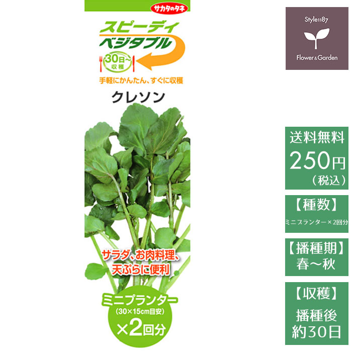 【野菜の種 スピーディベジタブル30日〜クレソン サカタのタネ STYLE1187