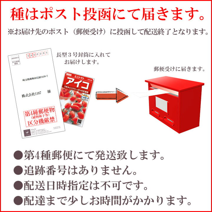 楽天市場 野菜の種 スピーディベジタブル50日 かおりネギ サカタのタネ Style1187
