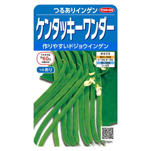 ������7071 �P���^�b�L�[�����_�[ �邠��C���Q���@�T�J�^�̃^�l