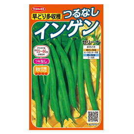 実咲野菜7075 つるなしインゲン　セリーナ サカタのタネ