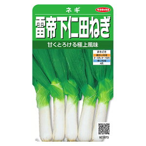 ؂̎@3873 鉺mc˂ TJ^̃^l