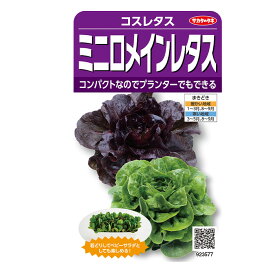 野菜の種　実咲野菜3577 レタス　ミニロメインレタスミックス サカタのタネ