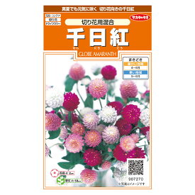 花の種　実咲花7270 千日紅　切花用混合 サカタのタネ