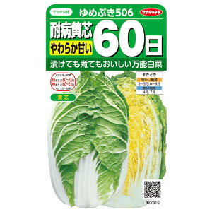  @nNTC߂Ԃ506 TJ^̃^l