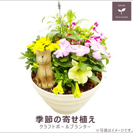 お買得！季節の寄せ植え 夏 丸型白鉢 ギフトにも最適な季節のお花を寄せ植えに。【ギフト プレゼント ガーデンピック 玄関 ベランダ 送料無料 沖縄・離島を除く】