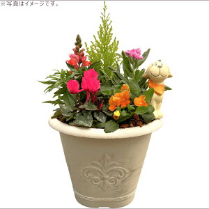 G߂̊񂹐A ~ AeB[N Ehv^[ zCg@MtgɂœKȋG߂̂Ԃ񂹐AɁByMtg v[g K[fsbN  x_  E