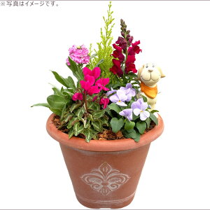 G߂̊񂹐A ~ AeB[N Ehv^[ uE@MtgɂœKȋG߂̂Ԃ񂹐AɁByMtg v[g K[fsbN  x_  E